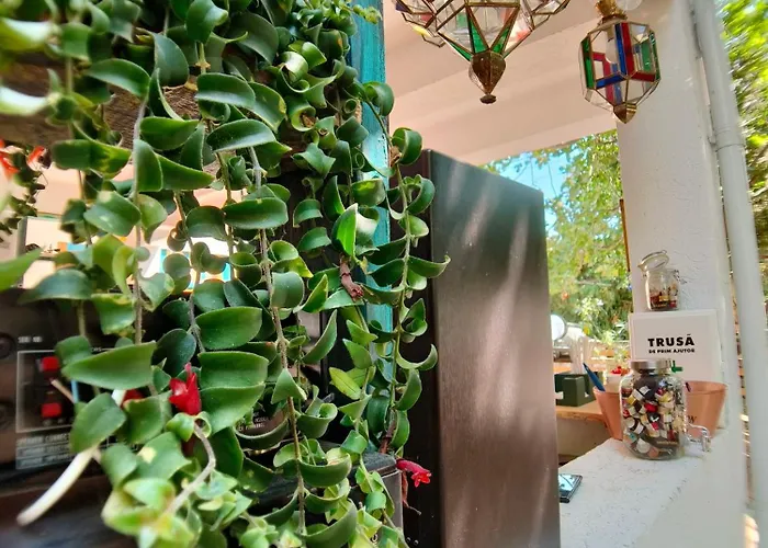 Oz ホリデーパーク ヴァマ・ヴェケ