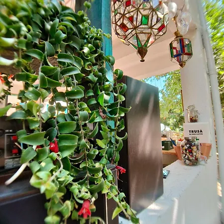 Oz Parque de vacaciones Vama Veche